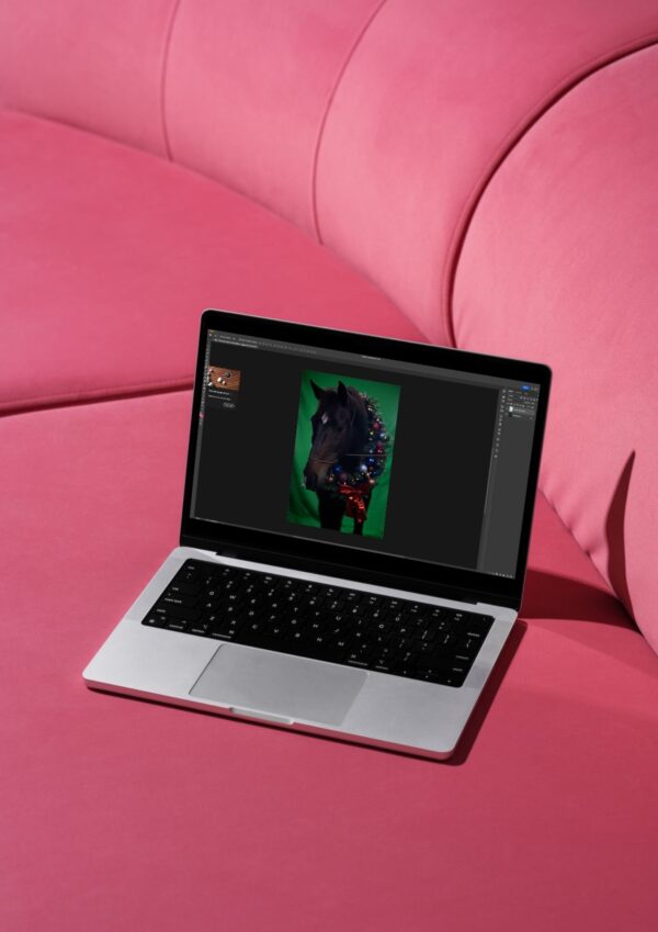 Masterclass photoshop - Afbeelding 2