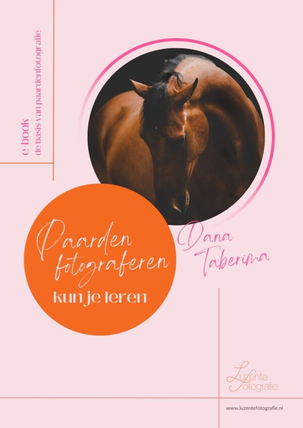 Paardenfotografie e-book