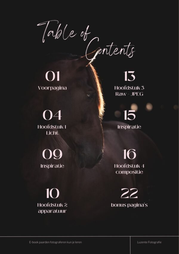 Paardenfotografie e-book - Afbeelding 7